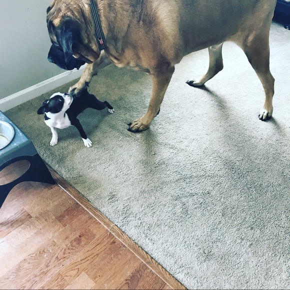 Meet your Posher, Mary - Picture 2 of 2